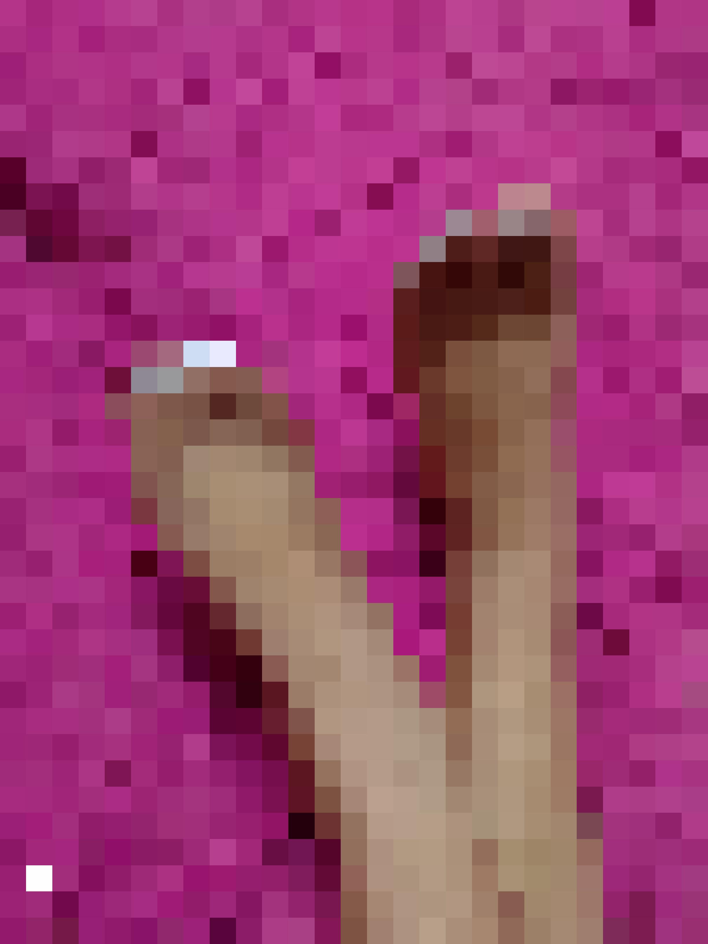 Venez les contempler 